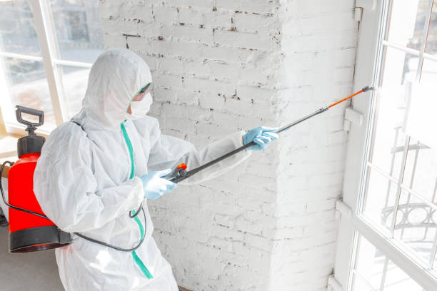 Best Commercial Mold Inspection  in Old Westbury, NY